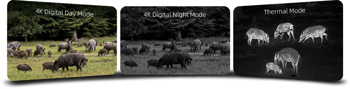 ThermTec Ventus 650L viewing modes - thermal imaging, 4K day vision, night vision, and picture-in-picture multi-spectrum display