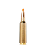 Norma TIPSTRIKE .300 WSM 170gr - Hunt The Night