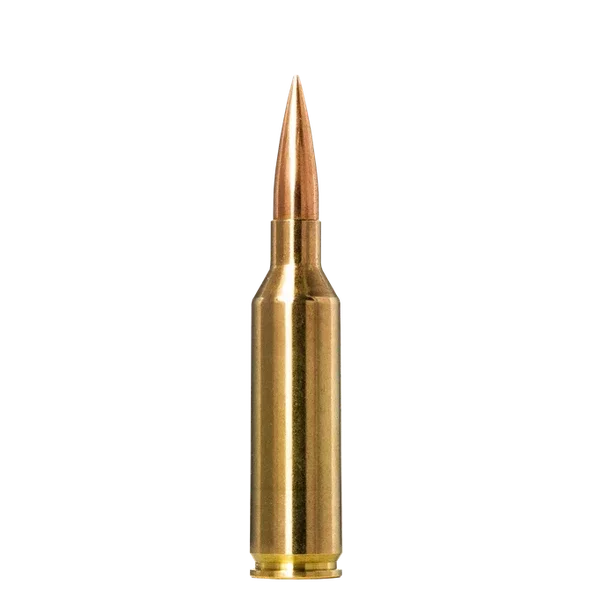 Norma Golden Target 6.5 PRC 143gr