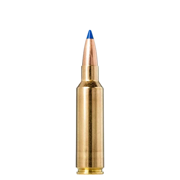 Norma 300 WSM Bondstrike Extreme 180gr 20 Pack Ammunition
