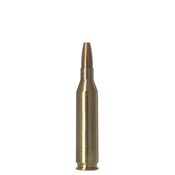 Norma VERMINXTREME 22-250 Remington 55gr - Hunt The Night