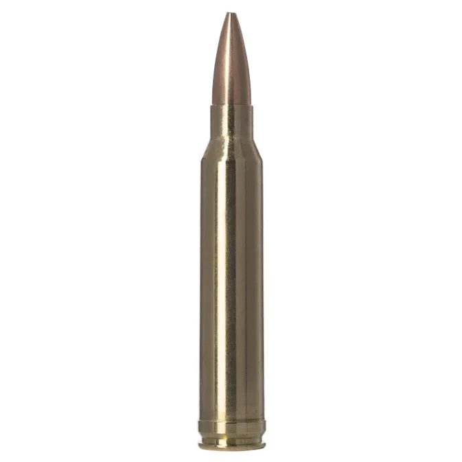 Norma GOLDEN TARGET 300 Win Mag 220gr - Hunt The Night