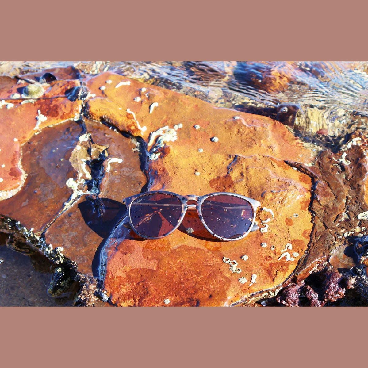 Oxide Eyewear - Astra Tortoiseshell - Hunt The Night