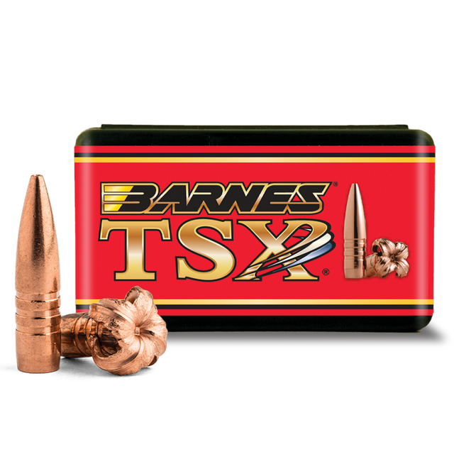 Barnes TSX FB 375 Cal (.375) 300gr Projectiles (50/box)