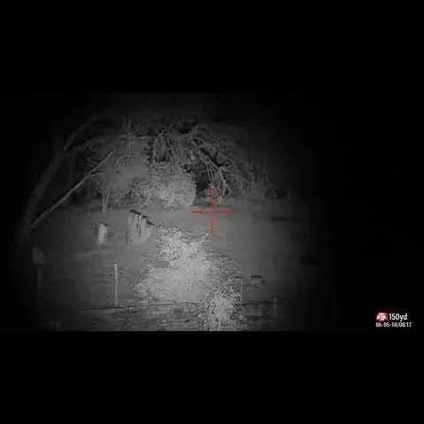 SNIPER HOG LIGHTS - COYOTE CANNON HUNTERS KIT - R,G,W, IR850