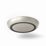 Detour Stainless Steel Plate - Hunt The Night