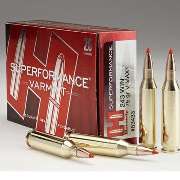 HORNADY 243WIN 75GR V-MAX