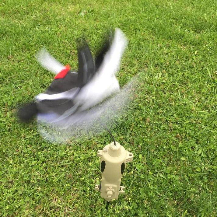 ICOTEC PD200 UNIVERSAL PREDATOR DECOY - Hunt The Night