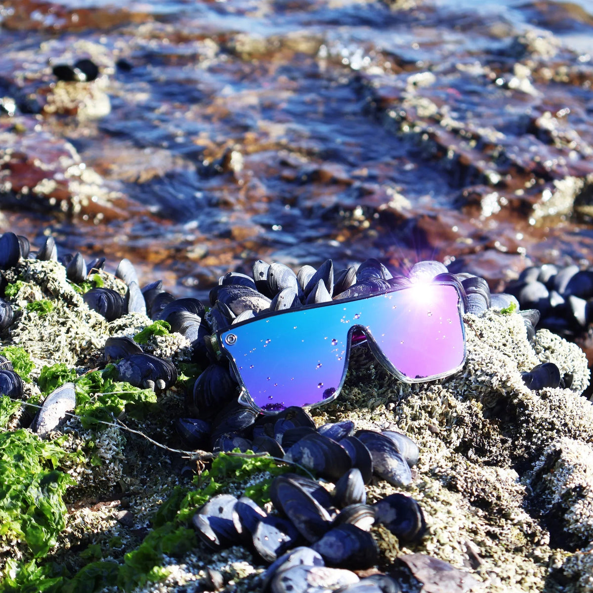 Oxide Eyewear - Galaxy Multi Coloured Frame - Hunt The Night