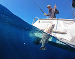 Hunting & Fishing New Zealand Spring Catalogue 2023 by Hunting ...
