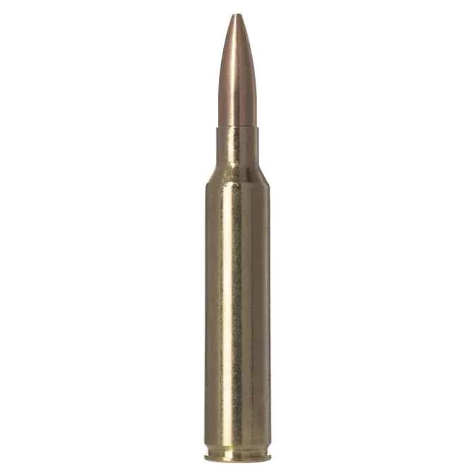 Norma GOLDEN TARGET 300 PRC 220gr - Hunt The Night