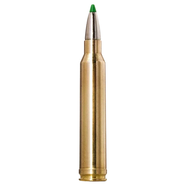 Norma Ecostrike .300 Winchester Magnum 165gr