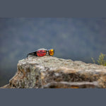 Spotters Eyewear - Artic+ - Hunt The Night