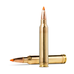 Norma TIPSTRIKE .300 Winchester Magnum 170gr