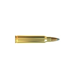 SELLIER AND BELLOT 223 REM 55GR SP 20 PACK