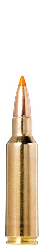 Norma TIPSTRIKE .300 WSM 170gr