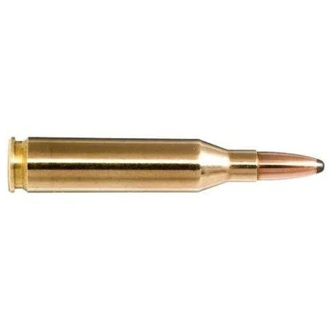 Norma 243 Win 100gr Whitetail Sp 20 Pack