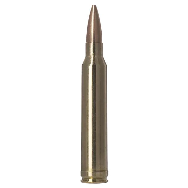 Norma Golden Target 300 Win Mag 220gr
