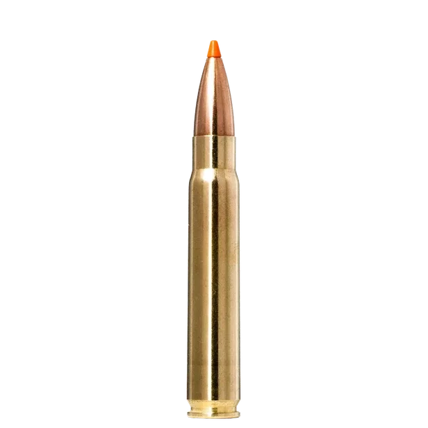 Norma Tipstrike 9.3x62 255gr