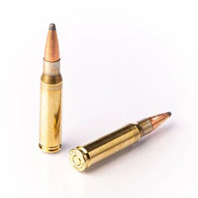Fiocchi 308 Win 180GR Sp 20PK