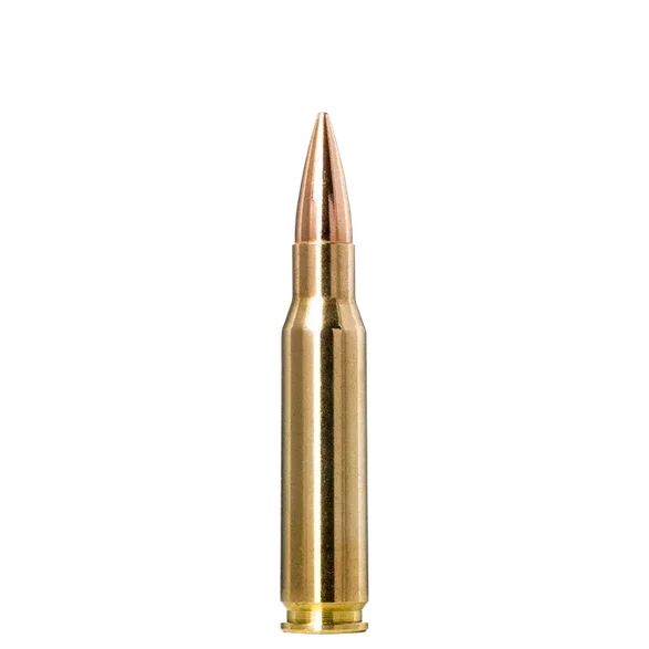Norma Golden Target .308 Winchester 168gr