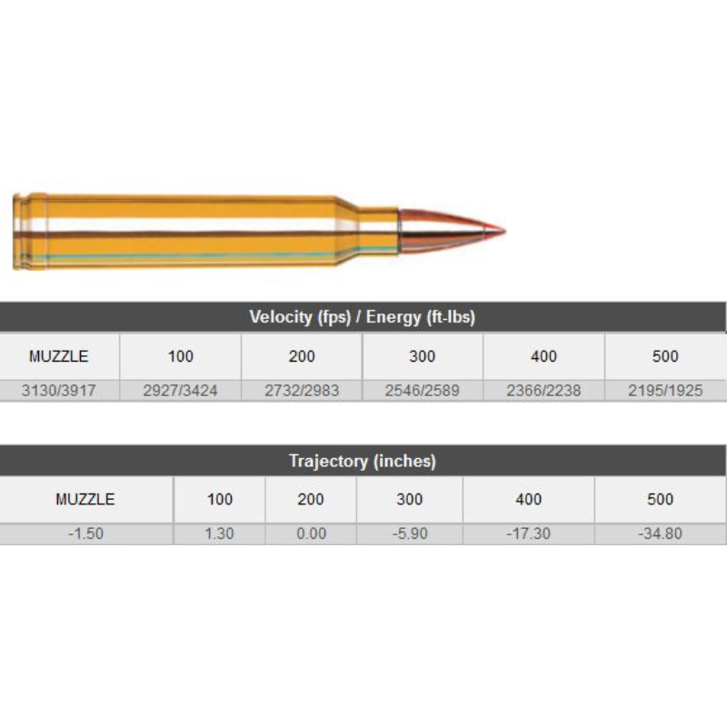 AMMO 300 WIN MAG 180GR SST SPF