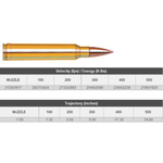 AMMO 300 WIN MAG 180GR SST SPF