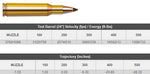 AMMO 222 REM GR NTX SPF (20pk)