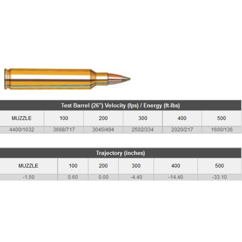 Hornady 204 RUGER 24 GR NTX SPF (20 Pack)