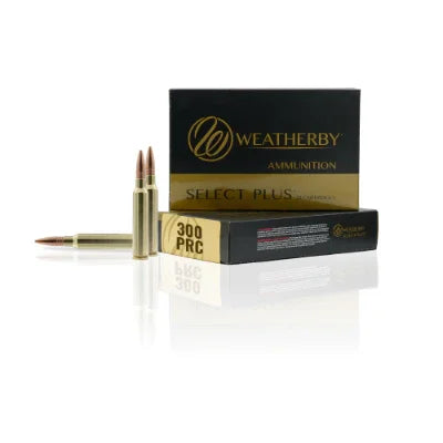 300 Prc 195gr Hammer Custom