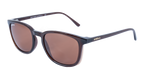 Spotters Eyewear - Sage