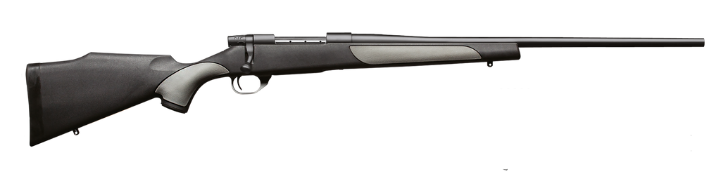 Vanguard 308 Blued Syn 24