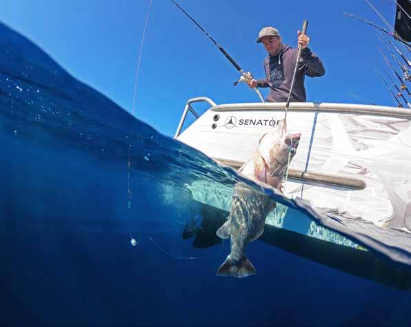 Hunting & Fishing New Zealand Spring Catalogue 2023 by Hunting ...