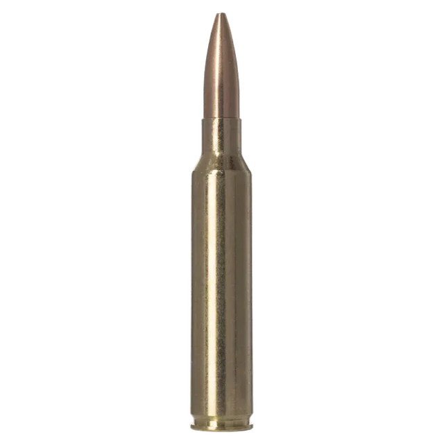 Norma Golden Target 300 Prc 220gr