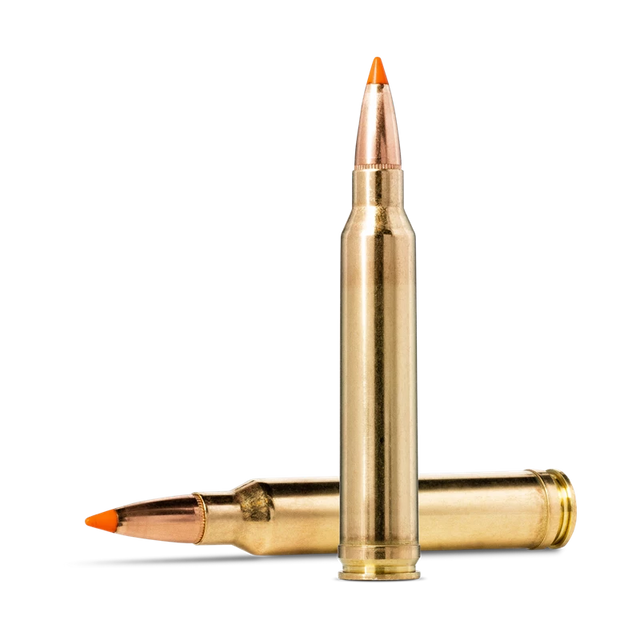Norma TIPSTRIKE .300 Winchester Magnum 170gr